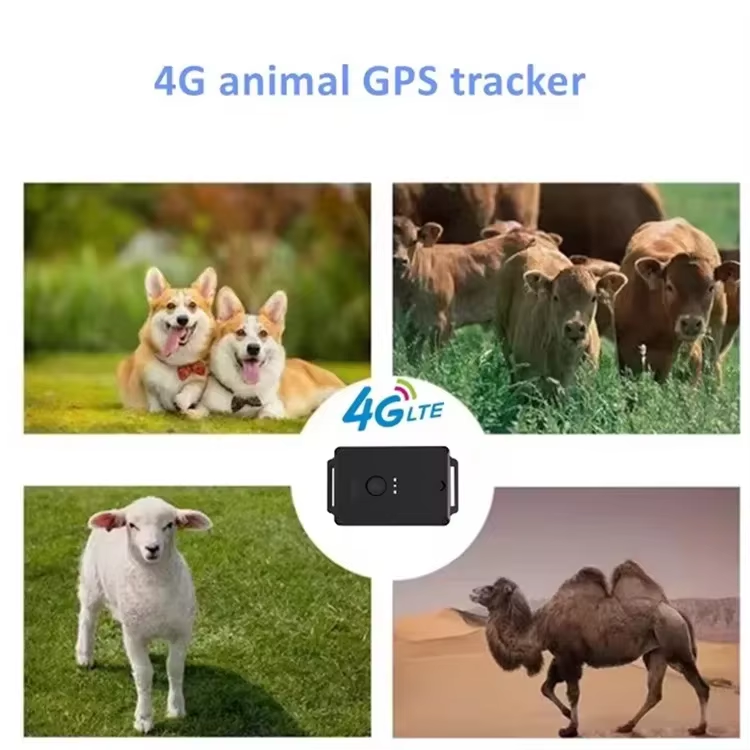 smart goat sheep cow farm waterproof gps pet tracker